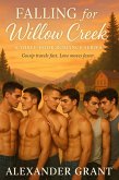 Falling For Willow Creek (eBook, ePUB)