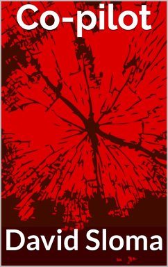 Cover Co-pilot (eBook, ePUB)