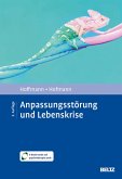 Anpassungsstörung und Lebenskrise (eBook, PDF)