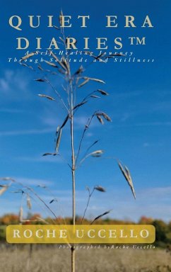 Cover Quiet Era Diaries