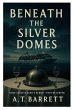 Beneath the Silver Domes - Bild 1