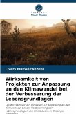 Wirksamkeit von Projekten zur Anpassung an den Klimawandel bei der Verbesserung der Lebensgrundlagen Wirksamkeit von Projekten zur Anpassung an den Klimawandel bei der Verbesserung der Lebensgrundlagen