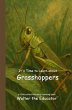 It's Time to Learn about Grasshoppers... - Bild 1