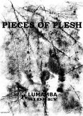 Pieces of Flesh (eBook, ePUB)