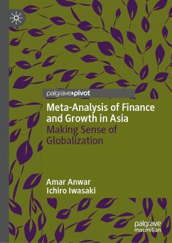 Cover Meta-Analysis of Finance and Growth in Asia (eBook, PDF)