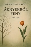 Árnyékból fény (eBook, ePUB)
