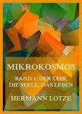 Mikrokosmos (eBook, ePUB)