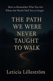 The Path We Were Never Taught to Walk (eBook, ePUB)