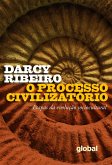 Processo Civilizatório (eBook, ePUB)