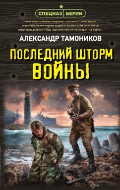 Posledniy shtorm voyny (eBook, ePUB) - Tamonikov, Aleksandr