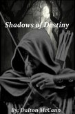 Shadows of Destiny (The Summoning Chronicles, #1) (eBook, ePUB)