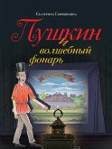 Pushkin i volshebnyy fonar (eBook, ePUB)