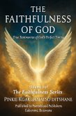 The Faithfulness of God (The Faithfulness Series, #1) (eBook, ePUB)