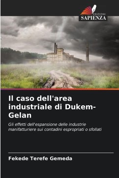 Cover Il caso dell'area industriale di Dukem-Gelan