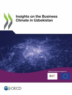 Cover Insights on the Business Climate in Uzbekistan