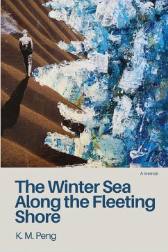 Cover The Winter Sea Along the Fleeting Shore