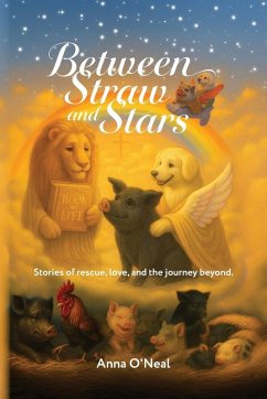 Cover Between Straw and Stars
