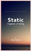 Static Fragments of Feeling