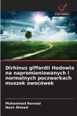 Dirhinus giffardii Hodowla na napromieniowanych i normalnych poczwarkach muszek owocówek Dirhinus giffardii Hodowla na napromieniowanych i normalnych poczwarkach muszek owocówek