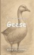 It's Time to Learn about Geese - Bild 1