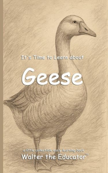 It's Time to Learn about Geese