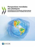 Perspectives mondiales des plastiques