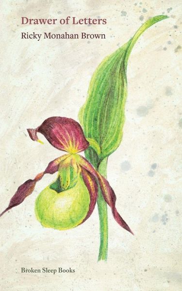 Drawer of Letters Drawer of Letters