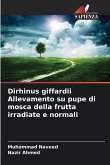 Dirhinus giffardii Allevamento su pupe di mosca della frutta irradiate e normali Dirhinus giffardii Allevamento su pupe di mosca della frutta irradiate e normali