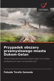 Przypadek obszaru przemys¿owego miasta Dukem-Gelan