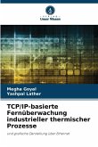 TCP/IP-basierte Fernüberwachung industrieller thermischer Prozesse TCP/IP-basierte Fernüberwachung industrieller thermischer Prozesse