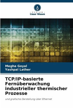 Cover TCP/IP-basierte Fernüberwachung industrieller thermischer Prozesse