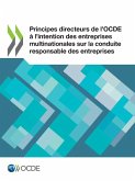 Principes directeurs de l'OCDE à l'intention des entreprises multinationales sur la conduite responsable des entreprises