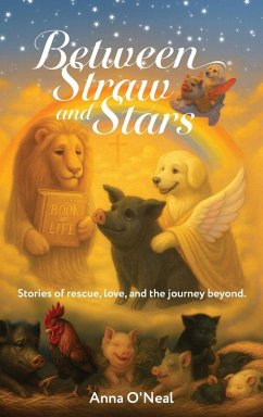 Cover Between Straw and Stars