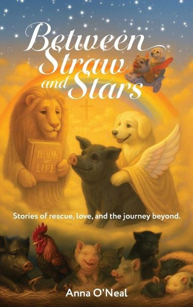 Between Straw and Stars