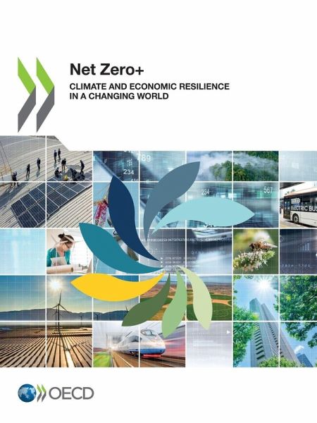 Net Zero+ Net Zero+