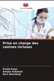 Prise en charge des canines incluses