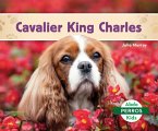 Cavalier King Charles (Cavalier King Charles Spaniels)