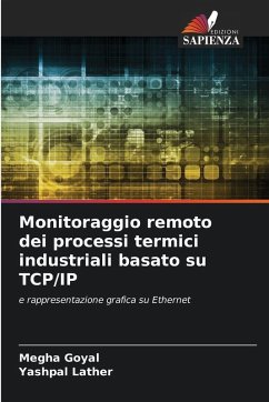 Cover Monitoraggio remoto dei processi termici industriali basato su TCP/IP