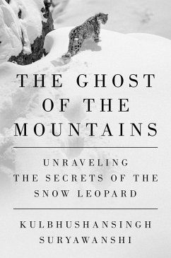 Cover The Ghost of the Mountains (eBook, ePUB)