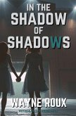 In the Shadow of Shadows