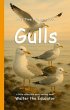 It's Time to Learn about Gulls (eBook,... - Bild 1