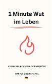1 Minute Wut im Leben (eBook, ePUB)