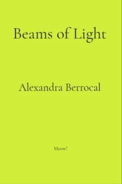 Beams of Light (eBook, ePUB) - Berrocal, Alexandra