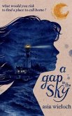 A Gap in The Sky (eBook, ePUB)
