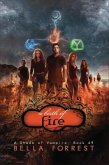 A Birth of Fire (eBook, ePUB)