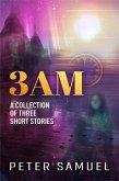 3AM (eBook, ePUB)
