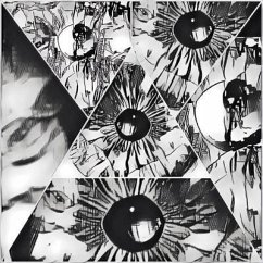 Cover The Mirror System (eBook, ePUB)