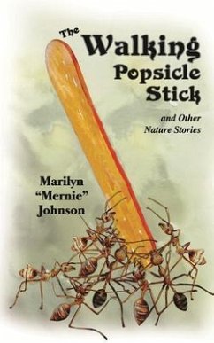 The Walking Popsicle Stick (eBook, ePUB)