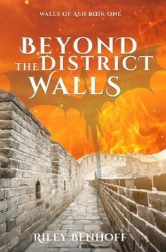 Beyond the District Walls (eBook, ePUB) - Benhoff, Riley