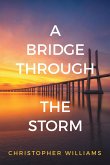 A Bridge Through the Storm (eBook, ePUB)